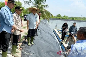 Tak Lagi Andalkan Daratan, Sumut Mulai Serius Garap Cuan dari Perikanan