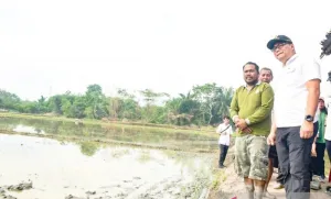 Kabar Gembira, Petani Deli Serdang Kini Bisa Pinjam Alat Canggih Secara Gratis, Cek Syaratnya di Sini