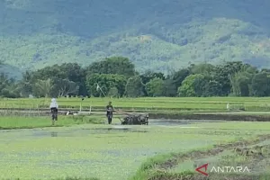Kejar Produktivitas Pangan, Garut Targetkan Tambah 100 Hektare Sawah Baru