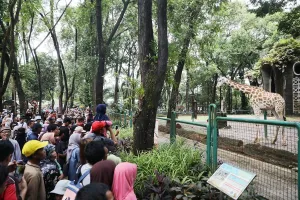 Libur Panjang Akhir Pekan, Kebun Binatang Ragunan Dipadati Pengunjung