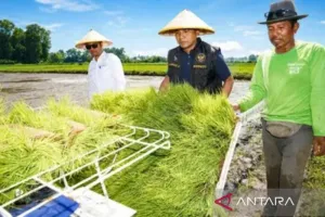 Modernisasi Alat Pertanian Jadi Fokus Bangkalan Dongkrak Produksi
