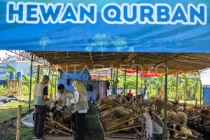 Jelang Idul Adha, Pemkab Garut Turunkan Tim Cek Kesehatan Hewan Kurban