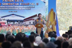Kapolri Sebut Program Penanaman Jagung Polri Berhasil Hasilkan 3,9 Juta Ton.
