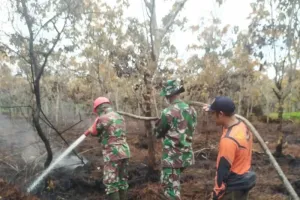 Musim Panas Datang, Muara Enim Petakan Wilayah Rawan Karhutla