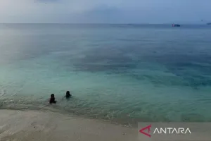 Menikmati Keindahan Pulau Pahawang, Lampung, Mulai Spot Snorkeling hingga Terumbu Karang