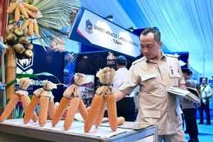 Pemerintah Tegaskan Pasokan Pangan Aman Ditengah Ketidakpastian Global