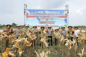Pemprov Jateng: Produksi Padi Capai 4,16 Juta Ton GKG hingga April 2026