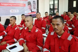 Program Kukar Siap Kerja Berhasil Serap Tenaga Kerja hingga 95 Persen