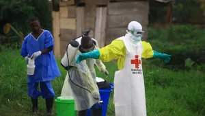 WHO Menyatakan Darurat Kesehatan Internasional terkait Strain Langka Ebola  