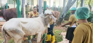80 Orang Juleha Dilatih KPKP DKI Berkolaborasi dengan Halal Science Center IPB