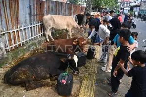 Jelang Idul Adha, KPKP DKI Perketat Monitoring Kelayakan Lapak Penjualan Hewan Kurban 