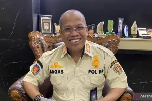 Wisatawan Pantai Selatan DIY Diingatkan Waspadai Sengatan Ubur-Ubur