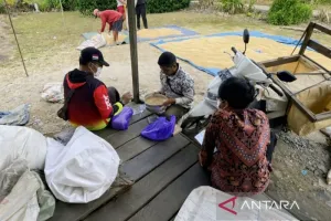 Cara Unik Bulog Kapuas Serap Gabah: Rela Menginap di Rumah Petani.