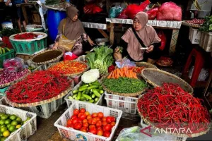 Harga Cabai Rawit Rp74.150/Kg, Telur Ayam Rp30.300/Kg