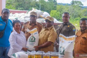 Pemkab Tambrauw dan Bulog Salurkan 58.140 Kilogram Beras untuk Masyarakat