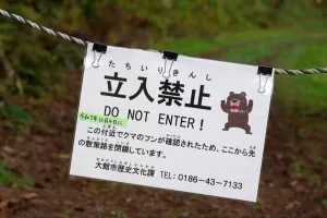 Potongan Jasad Korban Serangan Beruang Gegerkan Warga Tokyo