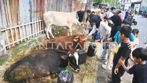 Pramono Larang Pedagang Hewan Kurban Berjualan di Trotoar