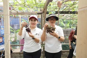 Urban Farming Berbasis Agrowisata Berkelanjutan di Denpasar