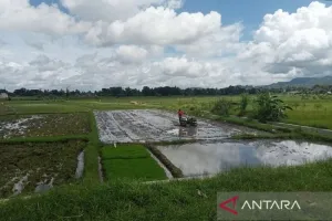 BMKG Imbau Masyarakat DIY Lebih Siap Antisipasi Dampak Kemarau El Nino