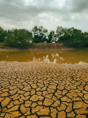 BMKG Ingatkan Potensi El Nino Picu Kemarau Lebih Kering di DIY
