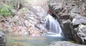 Gunung Maras, Penjaga Terakhir Hutan Tropis Pulau Bangka