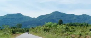 Menatap Biodiversitas dan Keheningan Rimba di Puncak Kembar