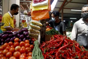 Redam Krisis Energi: Malaysia Lakukan Langkah Berani Demi Stok Pangan Aman