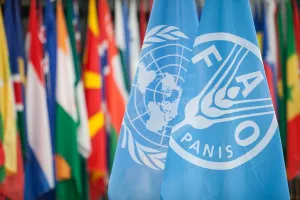 FAO Ingatkan Blokade Selat Hormuz dapat Memicu Krisis Pangan Global