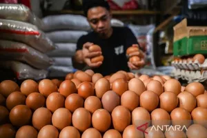 Harga Pangan Hari Ini, PIHPS: Cabai Rawit Rp70.450/Kg, Telur Ayam Rp28.900/Kg