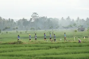 Sermo Run Disiapkan Jadi Magnet Sport Tourism Kulon Progo
