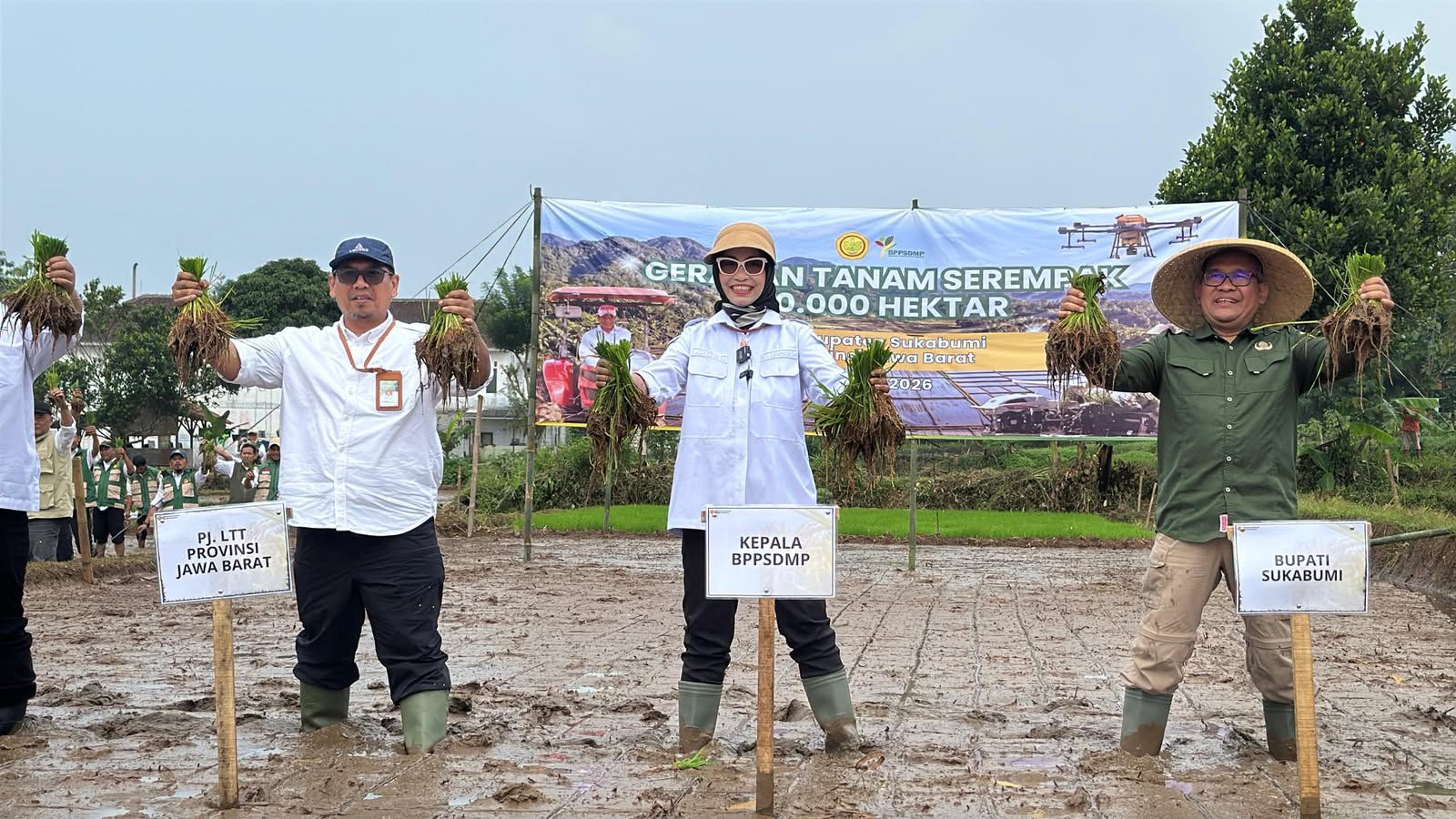 Momentum Terakhir Musim Hujan! Kementan Pacu Tanam Serentak 50 Ribu Hektar Sebelum El Nino