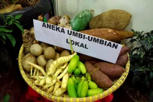 Peneliti Muda Didorong Kembangkan Pangan Fungsional Berbasis Potensi Lokal