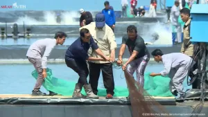 Presiden Prabowo Pimpin Panen Raya Udang di BUBK Kebumen