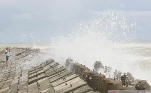 BMKG Peringatkan Potensi Gelombang Tinggi 4 Meter di Perairan Sumatera Utara