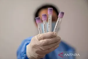 Hantavirus Mengancam, DPRD DKI Minta Wilayah Padat Penduduk Dibenahi