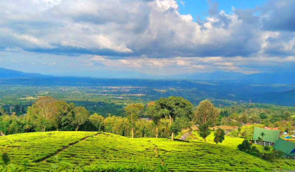 Jalur Pendakian Gunung Dempo Kembali Dibuka