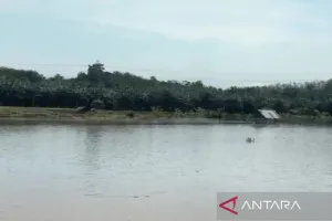 Pemerintah Kota Bengkulu Siagakan Personel TRC 24 Jam untuk Antisipasi Bencana