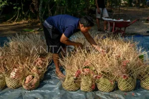 Pemerintah Kota Tangerang Imbau Panitia Siapkan Kemasan Kurban Ramah Lingkungan