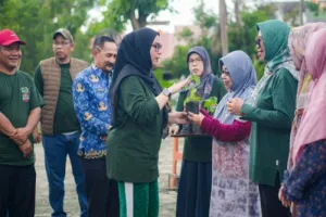 Pemkot Banjarbaru Perkuat Ketahanan Pangan dengan Tanam Cabai dan Terong 