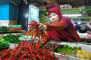 Pemprov DKI Ingatkan Warga Tak "Panic Buying" Terkait Kenaikan Harga Pangan