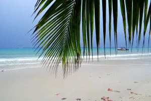 Seychelles, Negara Mungil Berpasir Putih di Tengah Samudera Hindia
