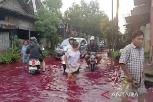 Tanggul Sungai Godo yang Jebol Memperparah Banjir di Pati
