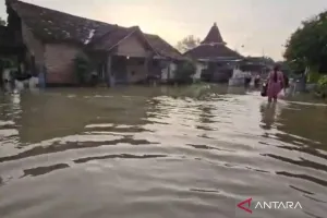 Banjir Rendam 538 Rumah di Pati, 1.050 Jiwa Terdampak
