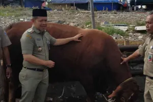 Bantuan 46 Hewan Kurban ke Pulau Berpenduduk di Kepulauan Seribu