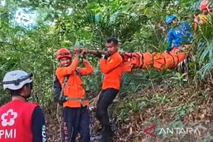 Cuaca Ekstrem, Lima Pendaki Tersambar Petir di Gunung Marolo Maros