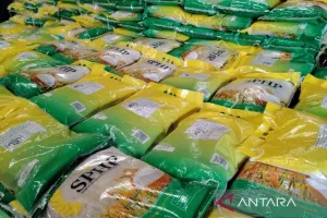 Perum Bulog Sumut Tingkatkan Penyaluran Beras SPHP Sambut Idul Adha 1447 H