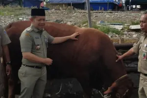 Pemkab Kepulauan Seribu Salurkan 46 Hewan Kurban ke Pulau Berpenduduk 