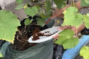 PLN Galakkan Inisiatif Zero Food Waste di Lingkungan Kerja, Dukung Pembangunan Berkelanjutan