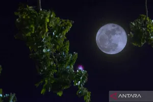 Ada Fenomena Blue Moon, BMKG NTB Ingatkan Warga Pesisir Waspadai Potensi Banjir Rob 