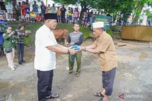 78 Hewan Kurban untuk Masyarakat di Ambon